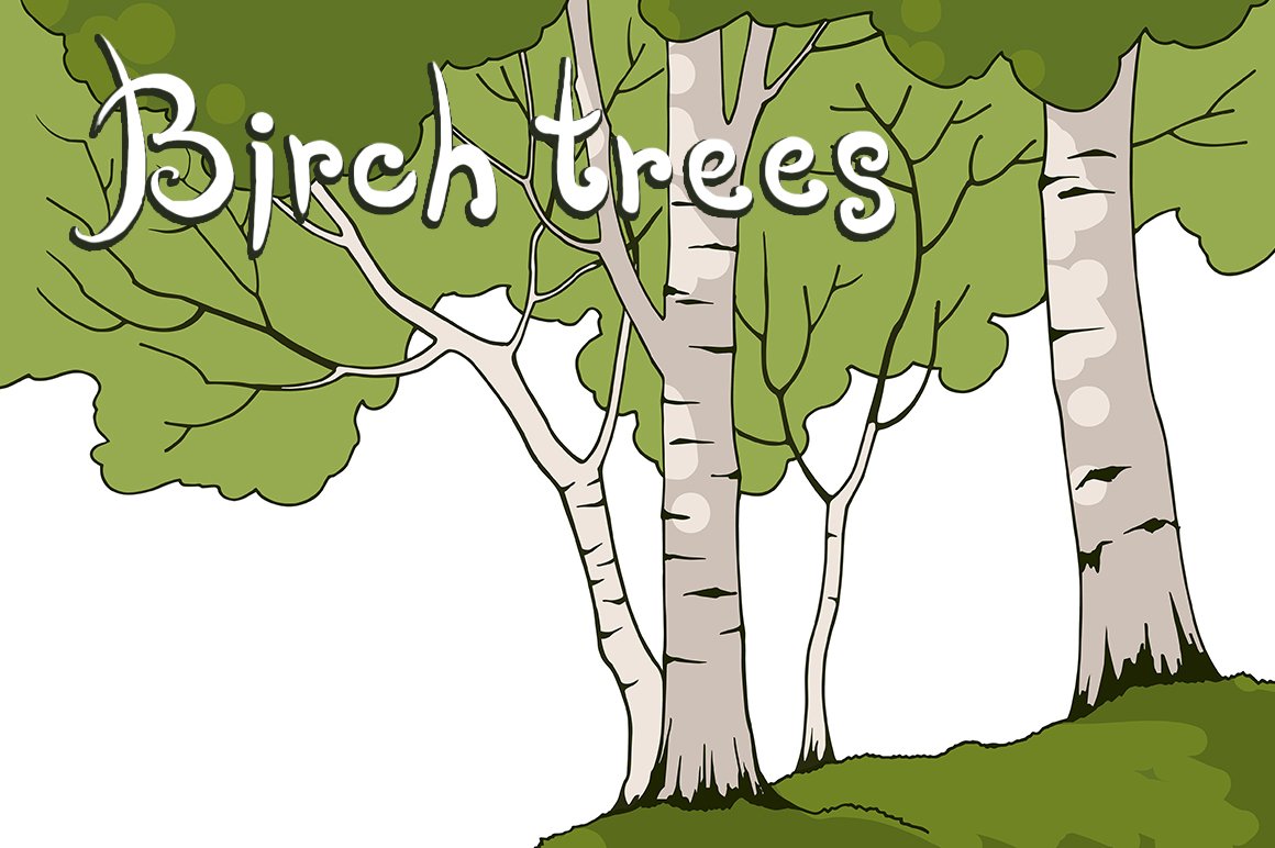 Birch Trees cover image.