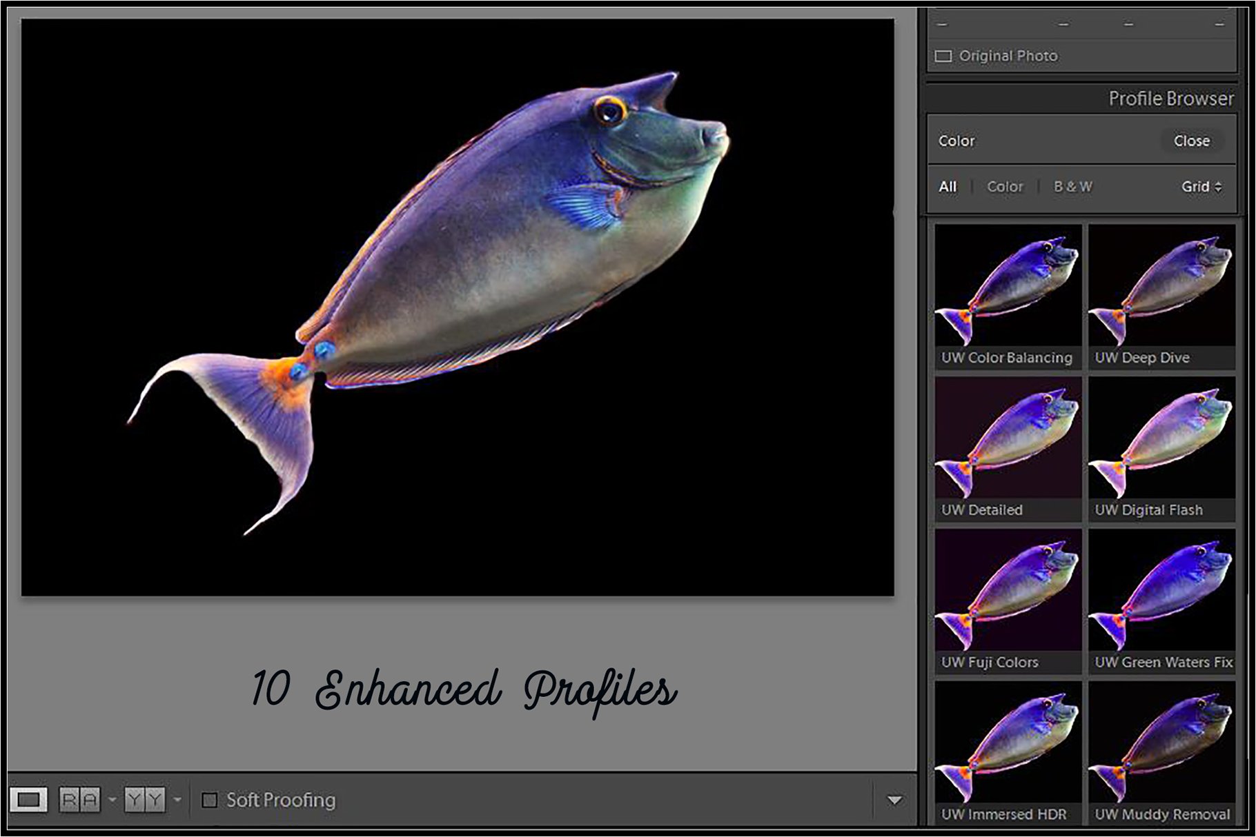 Underwater Fix Profiles for LR & ACRpreview image.