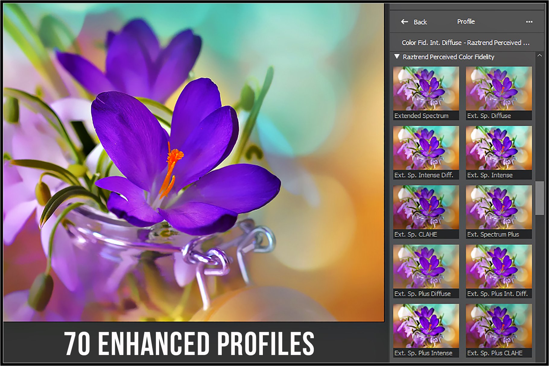 Perceived Color Fidelity profilespreview image.