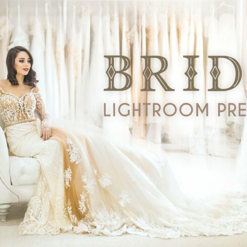 Brido Lightroom Presetscover image.