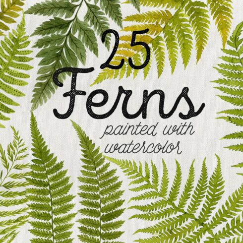 25 Watercolor Ferns cover image.