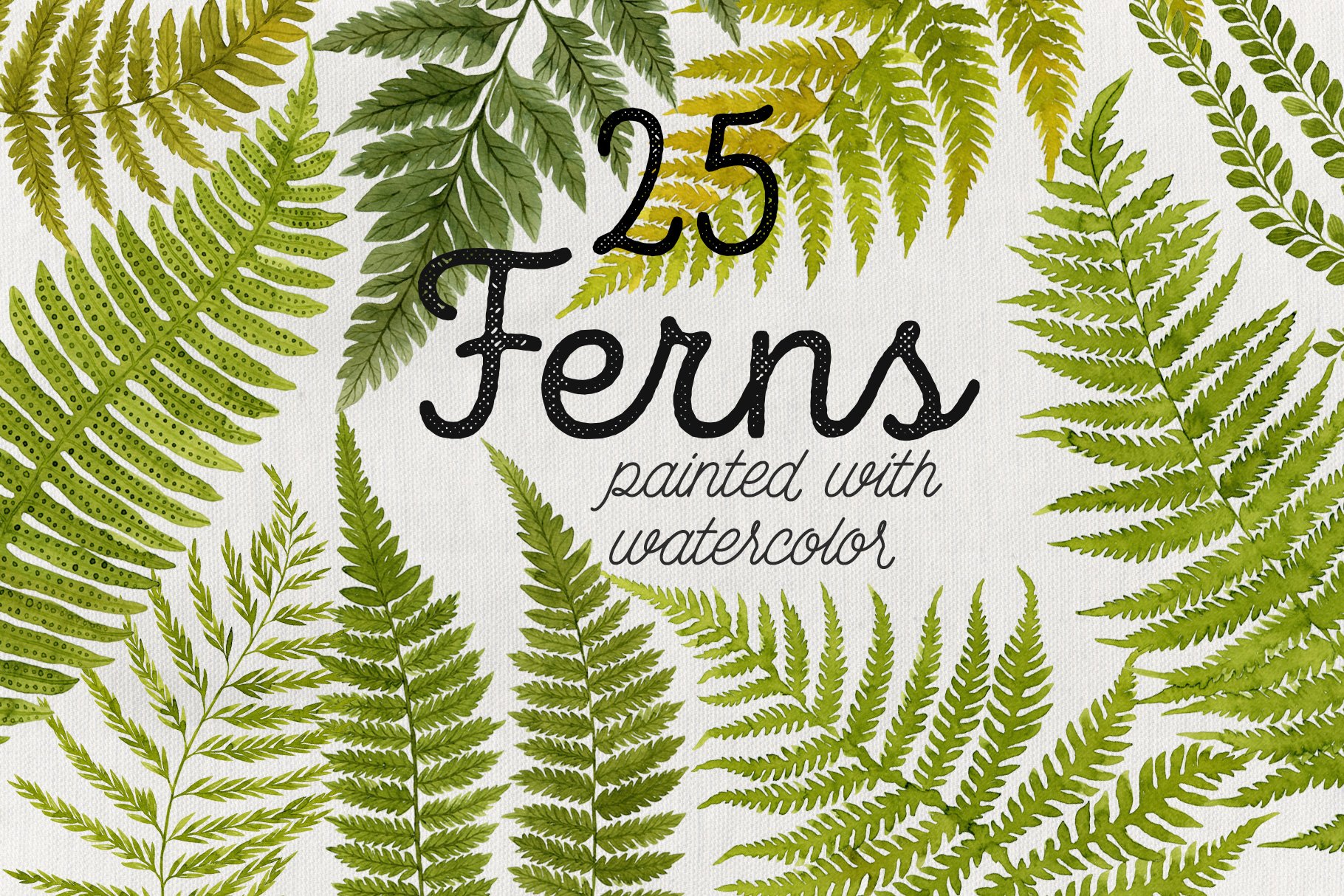 25 Watercolor Ferns cover image.