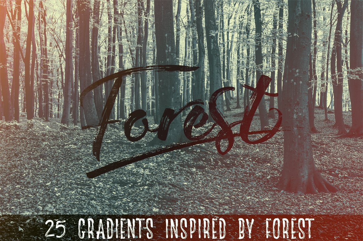 The Forest - 25 Gradientscover image.