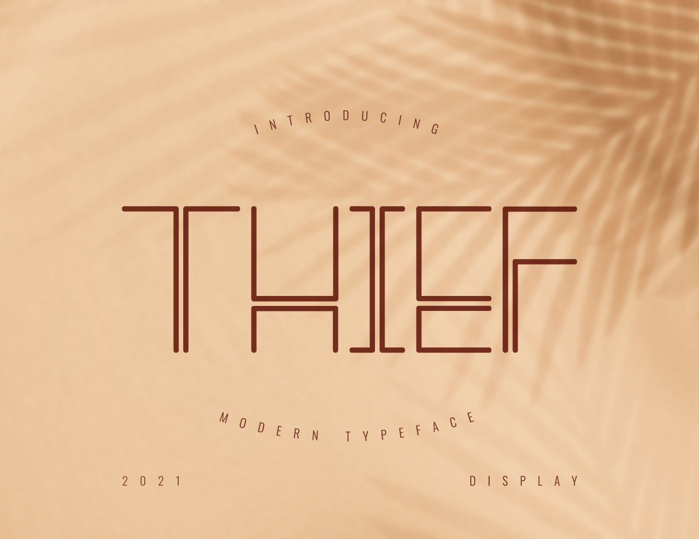 Thief Modern Typeface cover image.