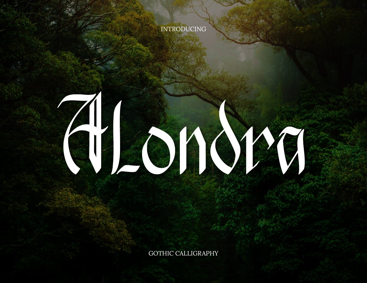 Alondra Handwritten Font cover image.
