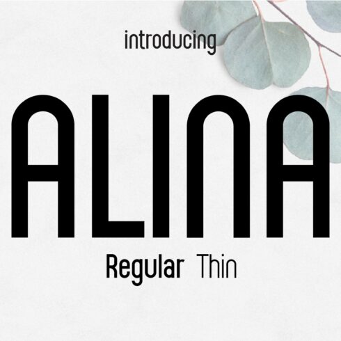 Alina font cover image.