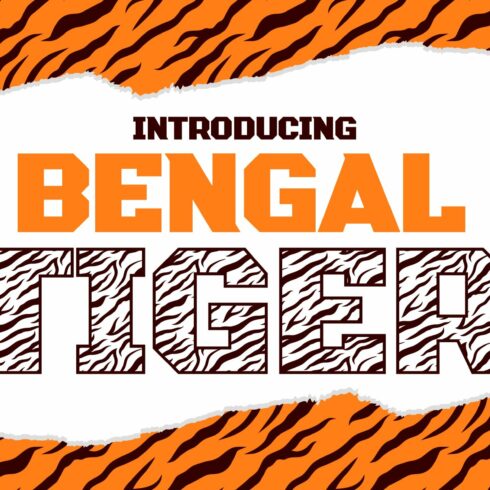 Bengal Tiger Decorative Font cover image.