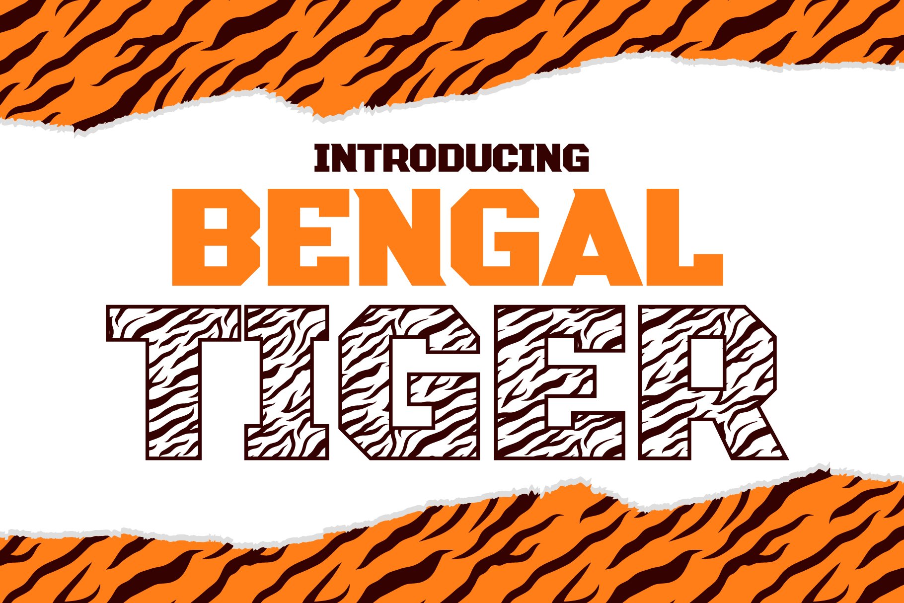 Bengal Tiger Decorative Font cover image.