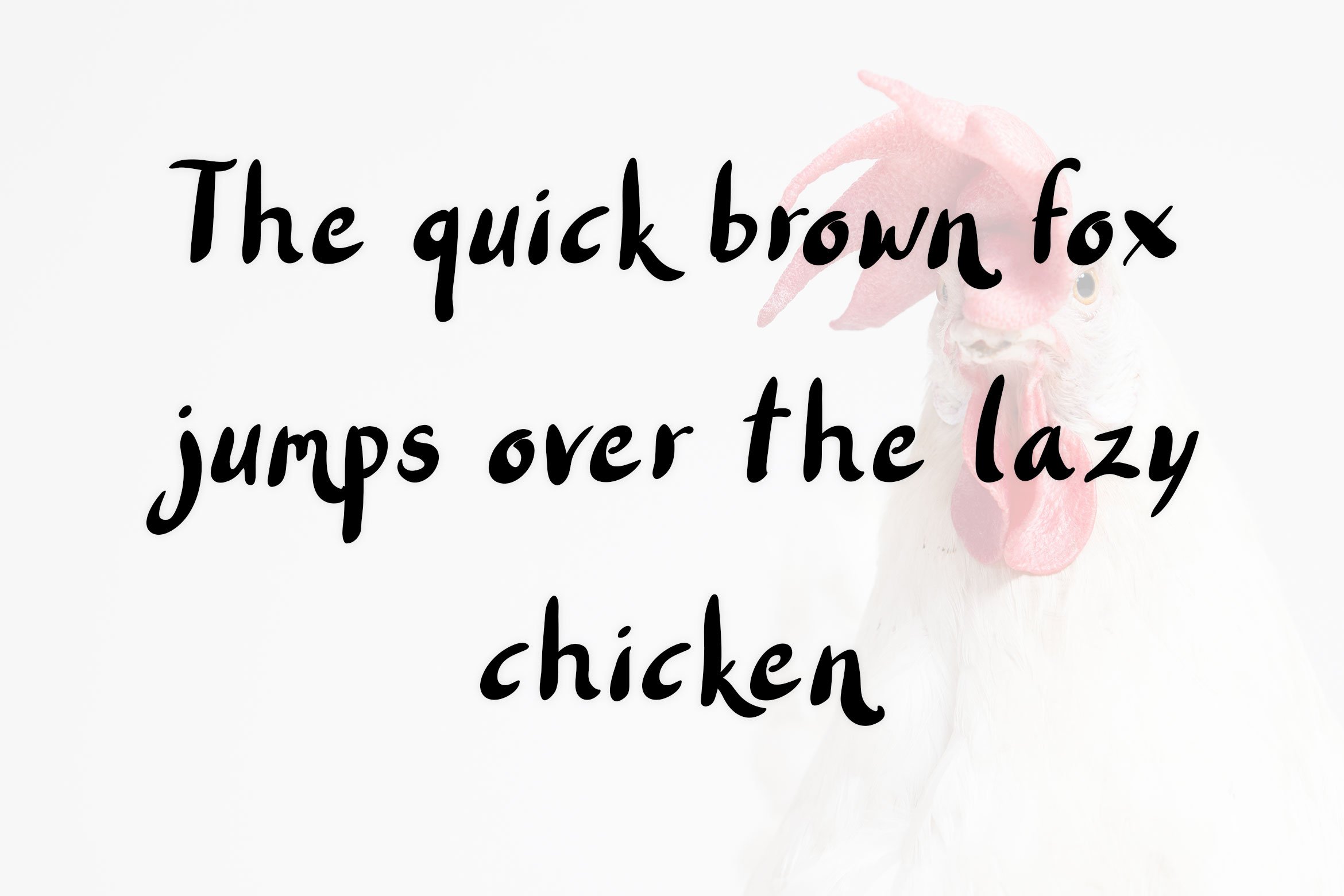 Chicken Pickle - Brush Font preview image.