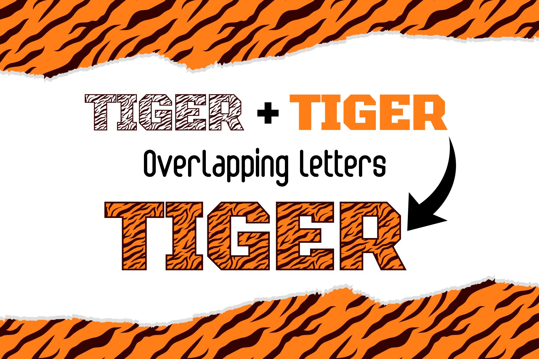 Bengal Tiger Decorative Font preview image.