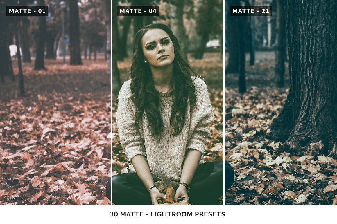 Matte - Lightroom Presetspreview image.