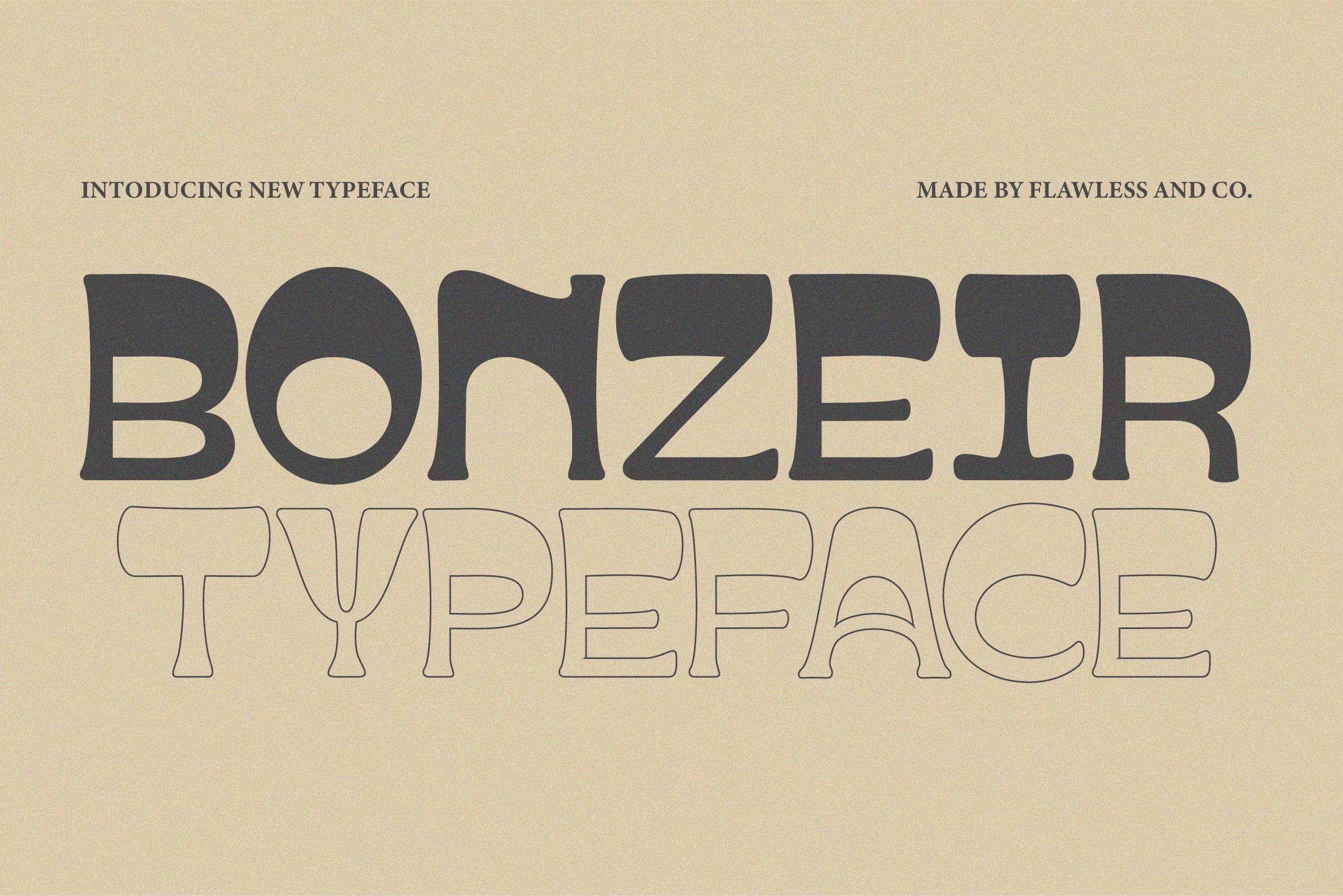Bonzeir cover image.