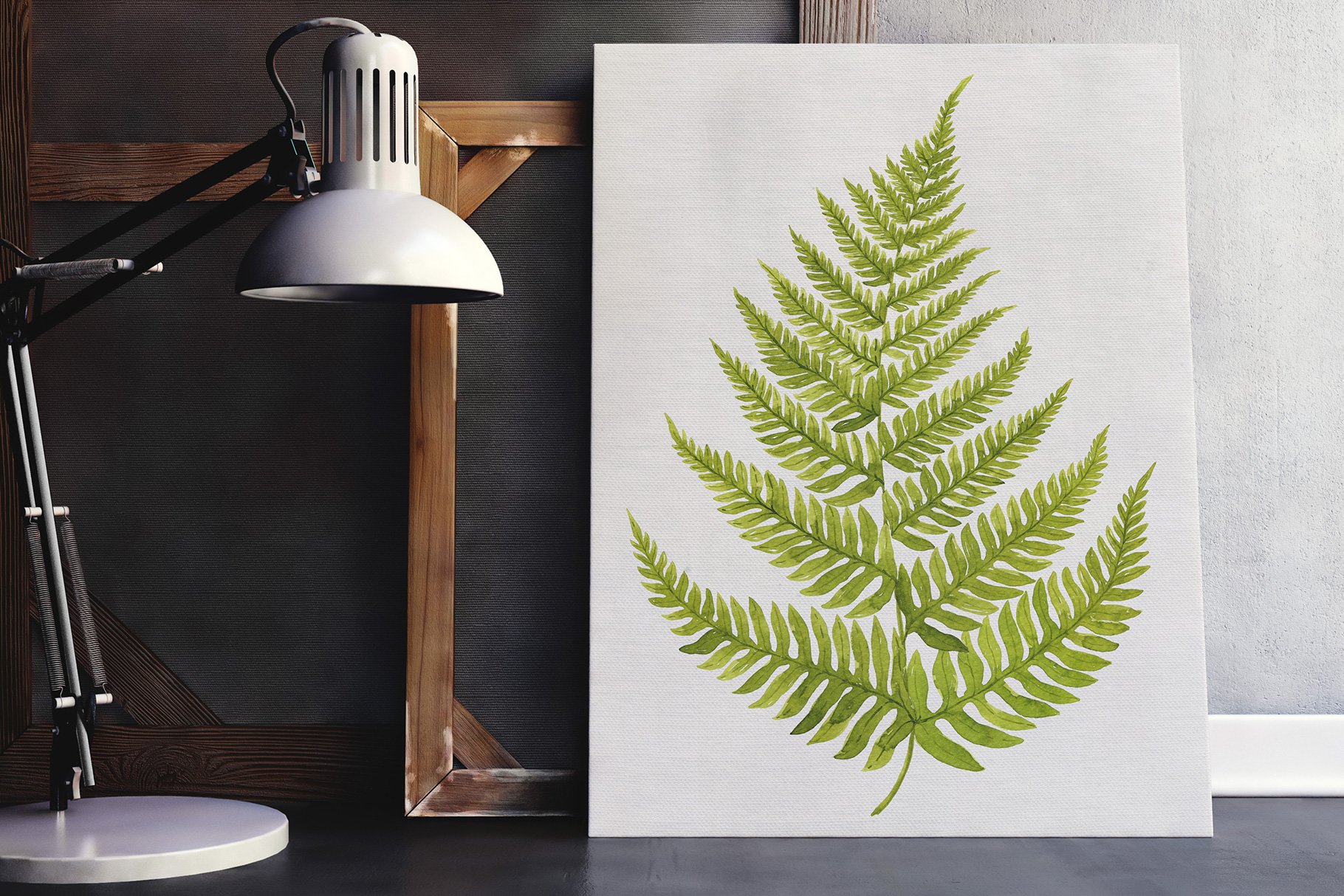 Picture of a green fern leaf on a white canvas.