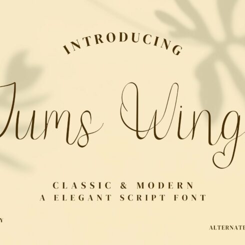 Jump Wings Script Fontscover image.