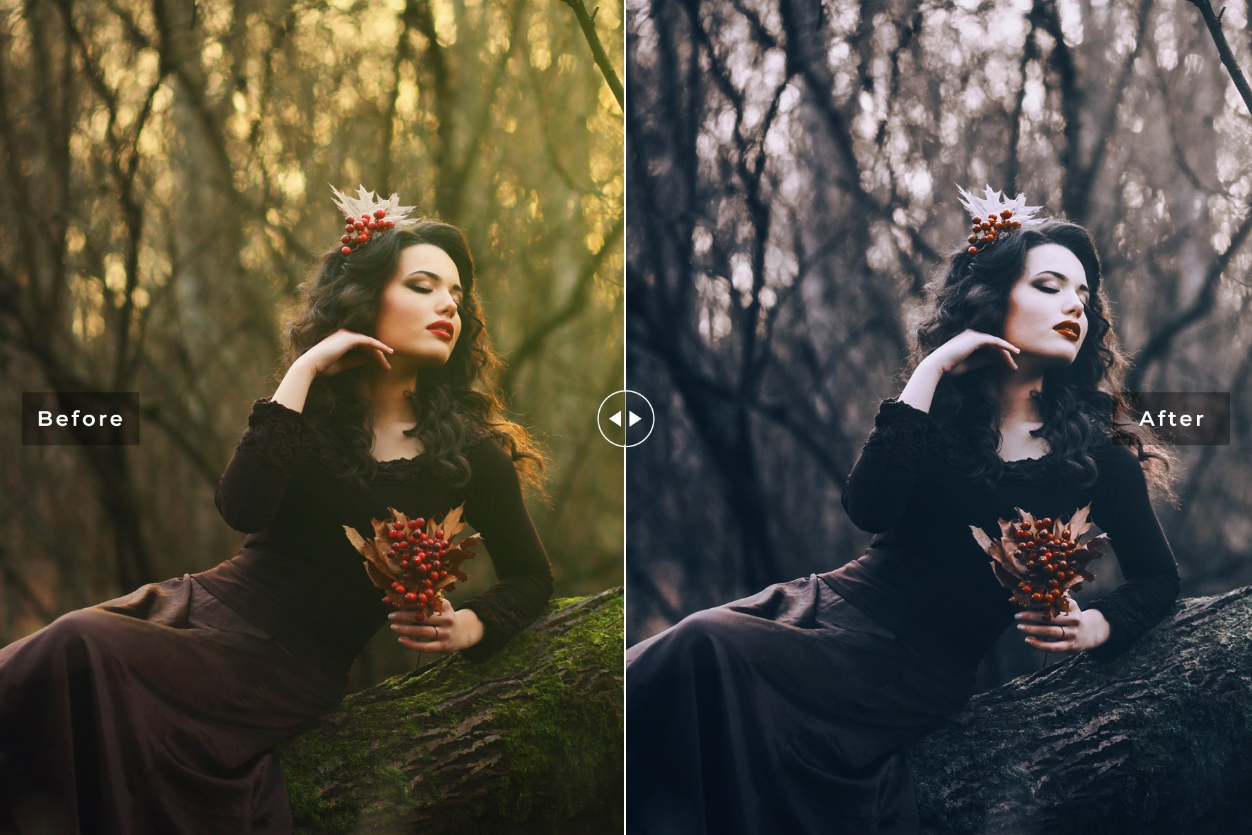 Fantasy Lightroom Presets Collectionpreview image.