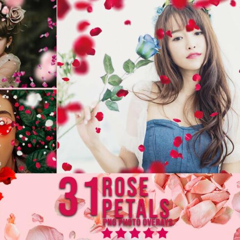 31 Rose Petals Photo Overlaycover image.