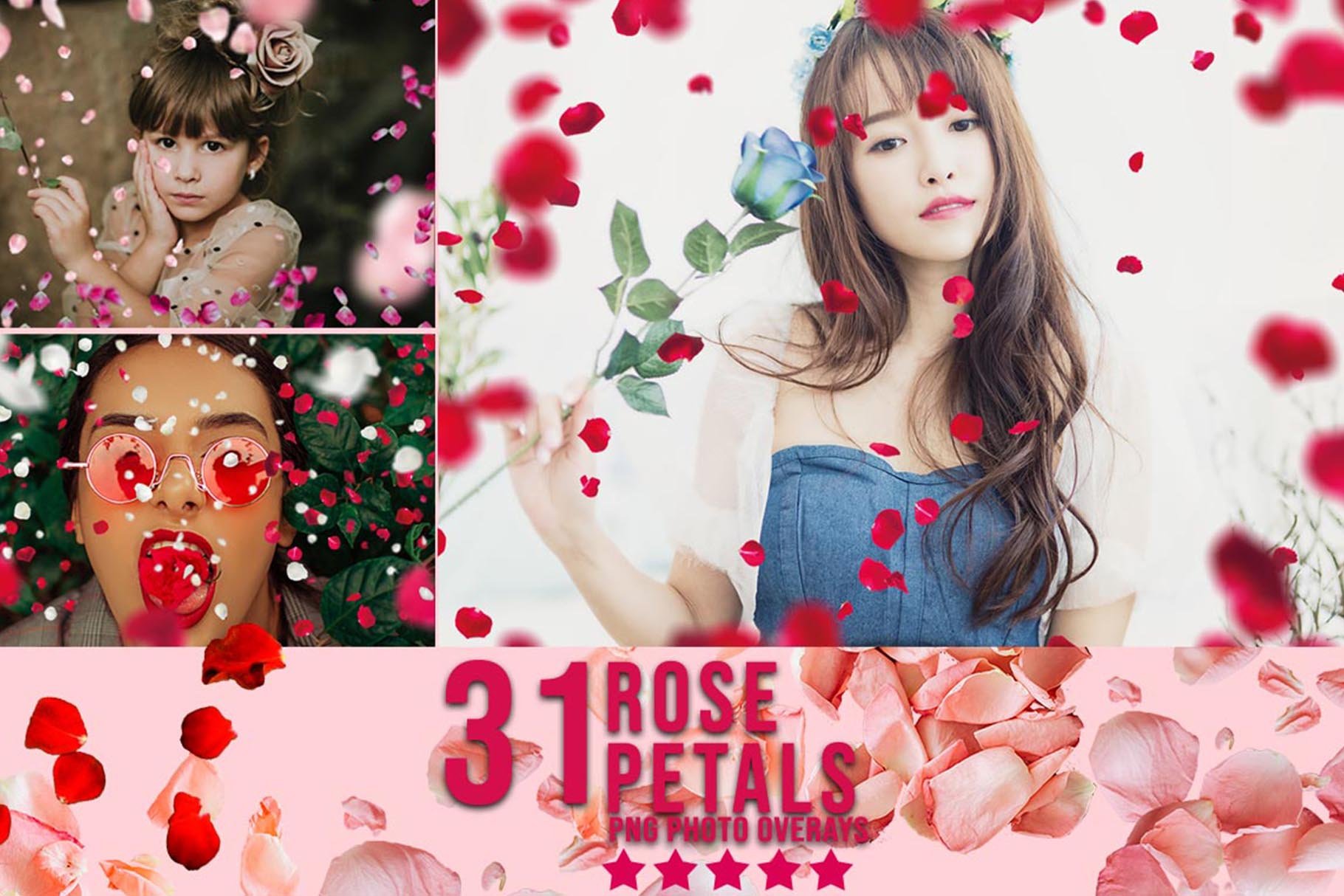 31 Rose Petals Photo Overlaycover image.