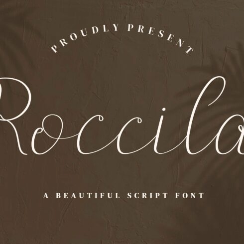 Roccila Script Fontscover image.