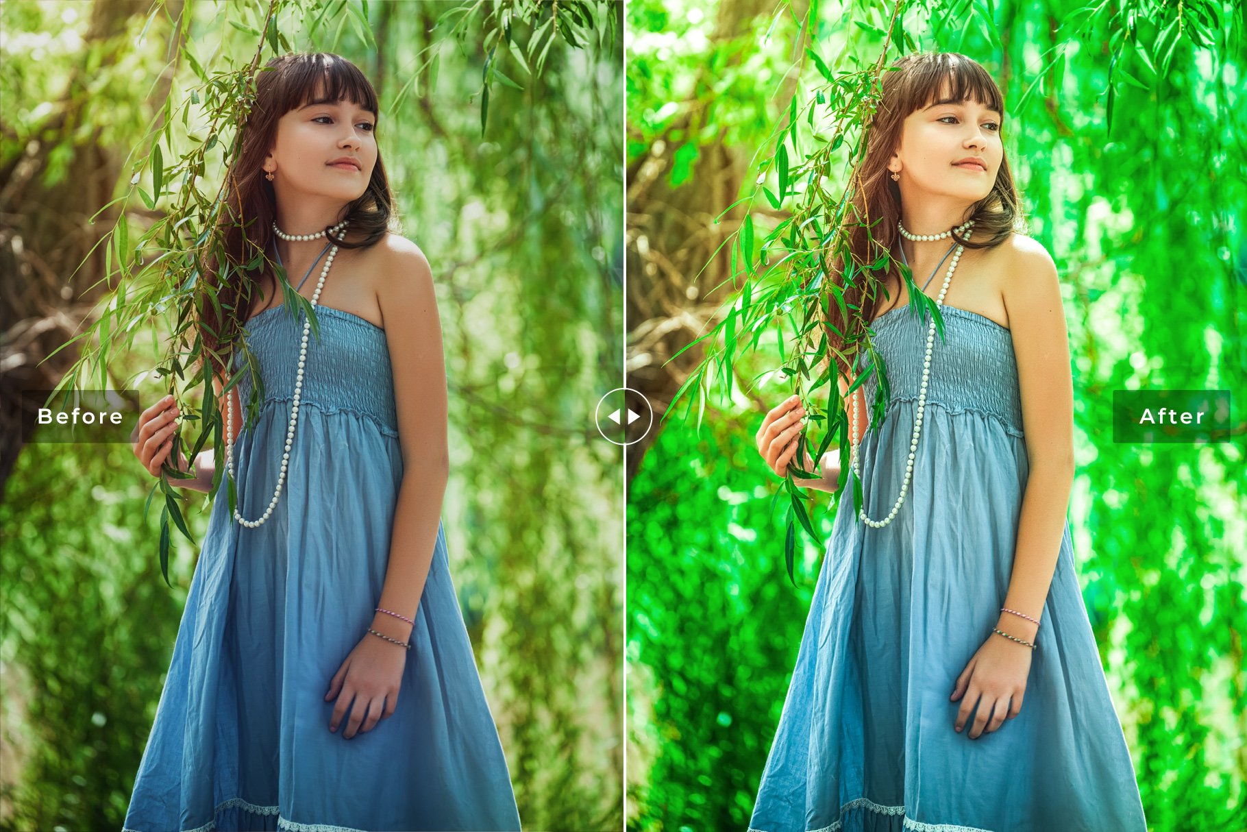 Forsterite Pro Lightroom Presetspreview image.