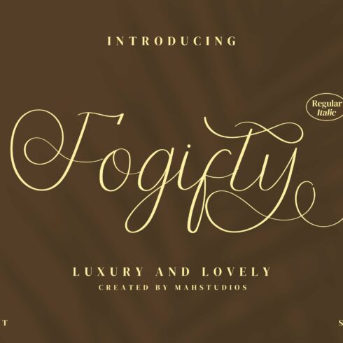 Fogifty Script Fontscover image.