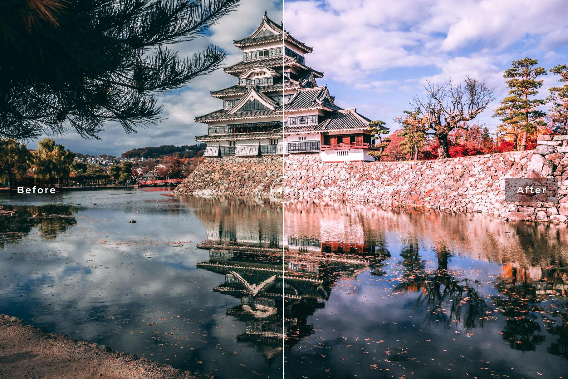 Japan Pro Lightroom Presetspreview image.