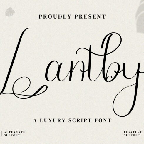 Lantby Script Fontscover image.