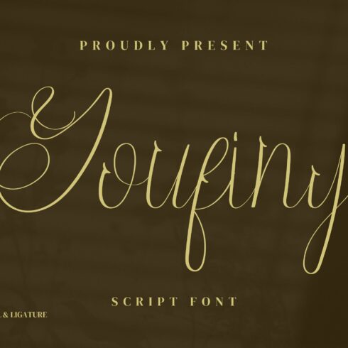 Youfiny Script Fontscover image.