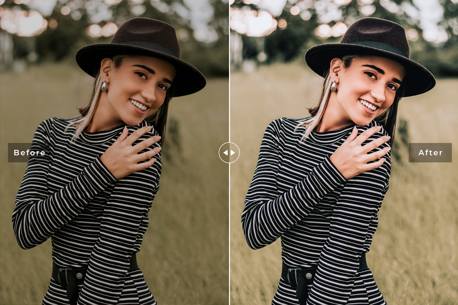 Fresh Lightroom Presets Packpreview image.