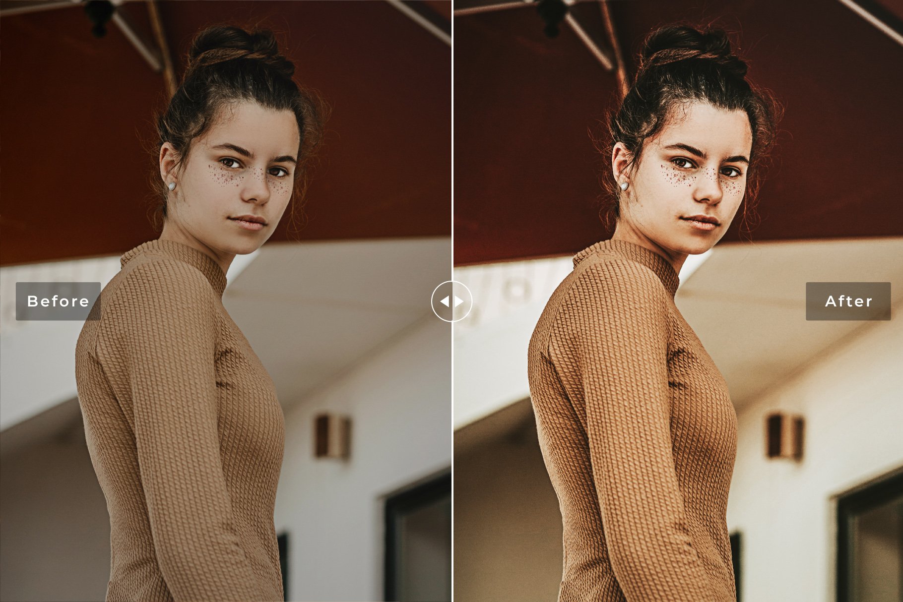 Laconic Lightroom Presets Packpreview image.