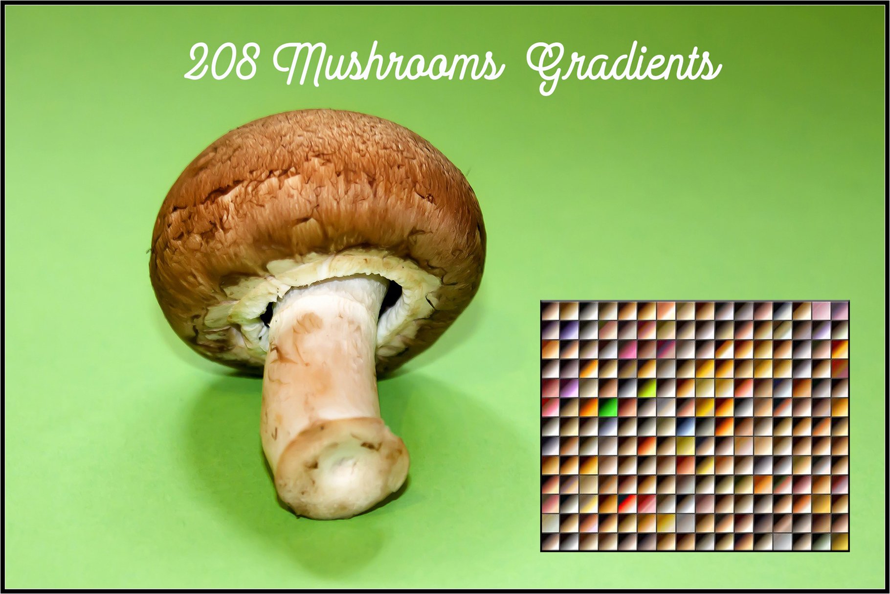 Mushrooms Gradientspreview image.