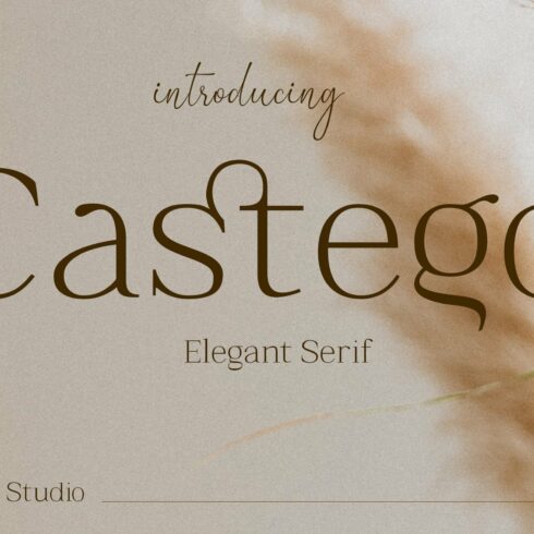 Castego - Elegant Serif cover image.