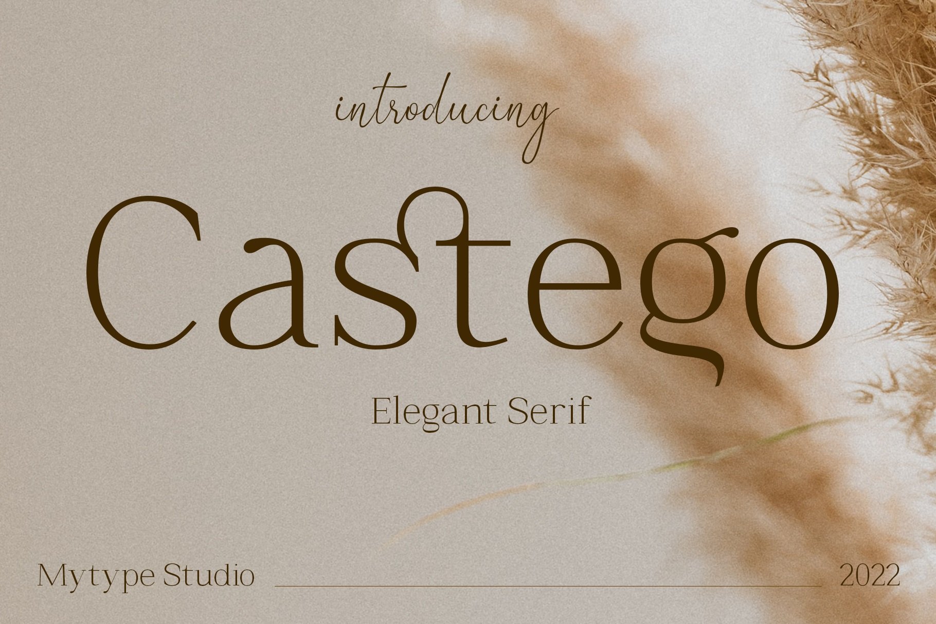 Castego - Elegant Serif cover image.
