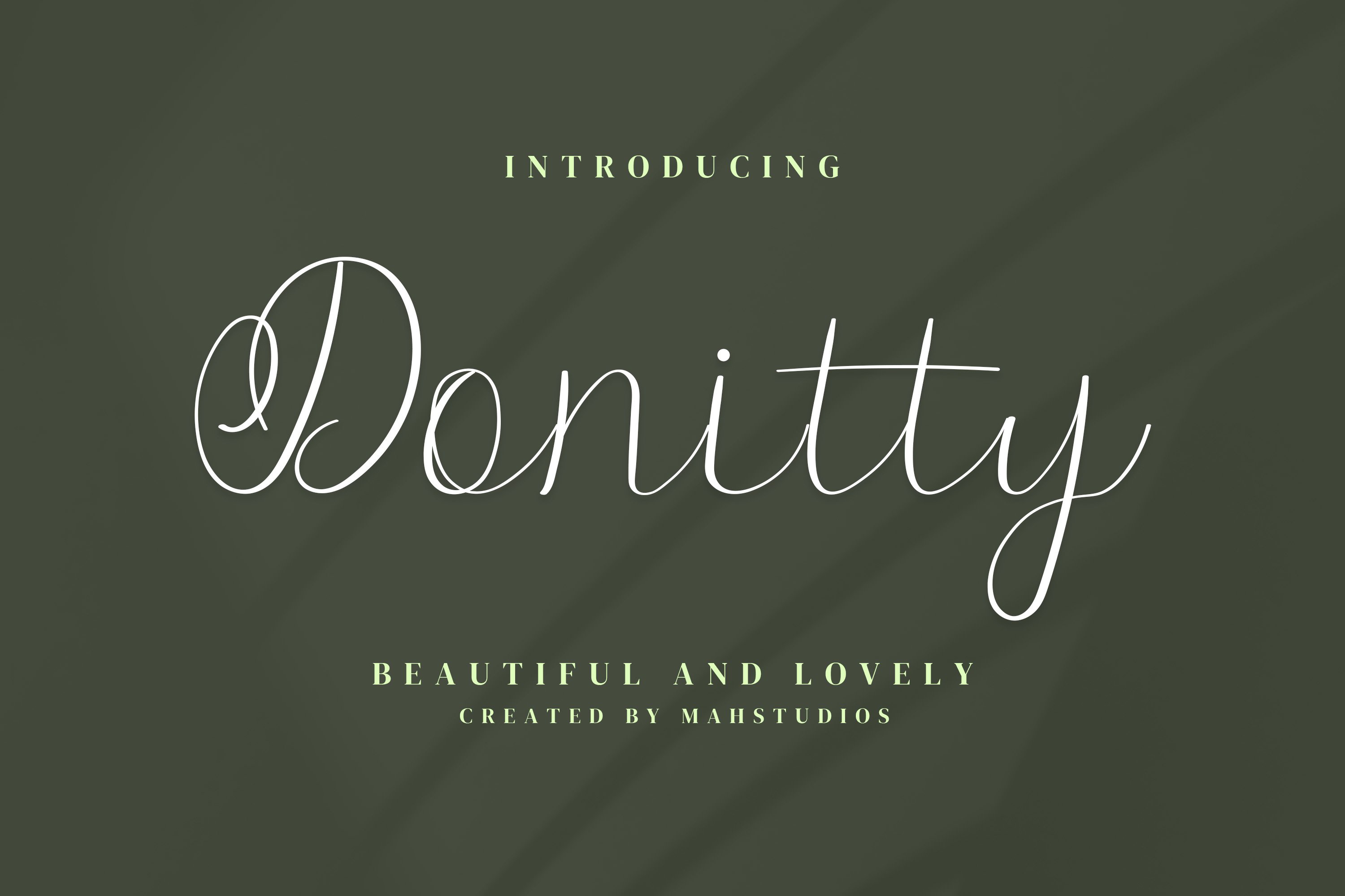 Donitty Script Fontscover image.