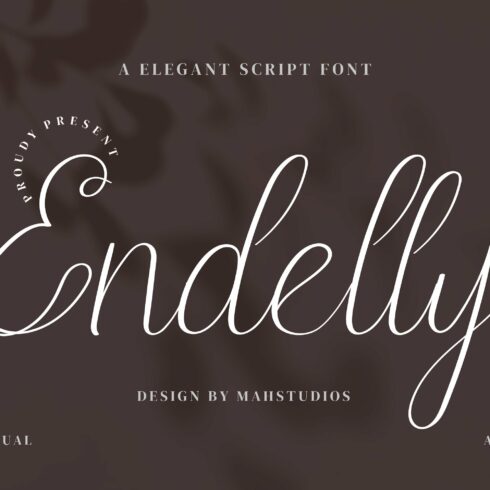 Endelly Script Fontscover image.