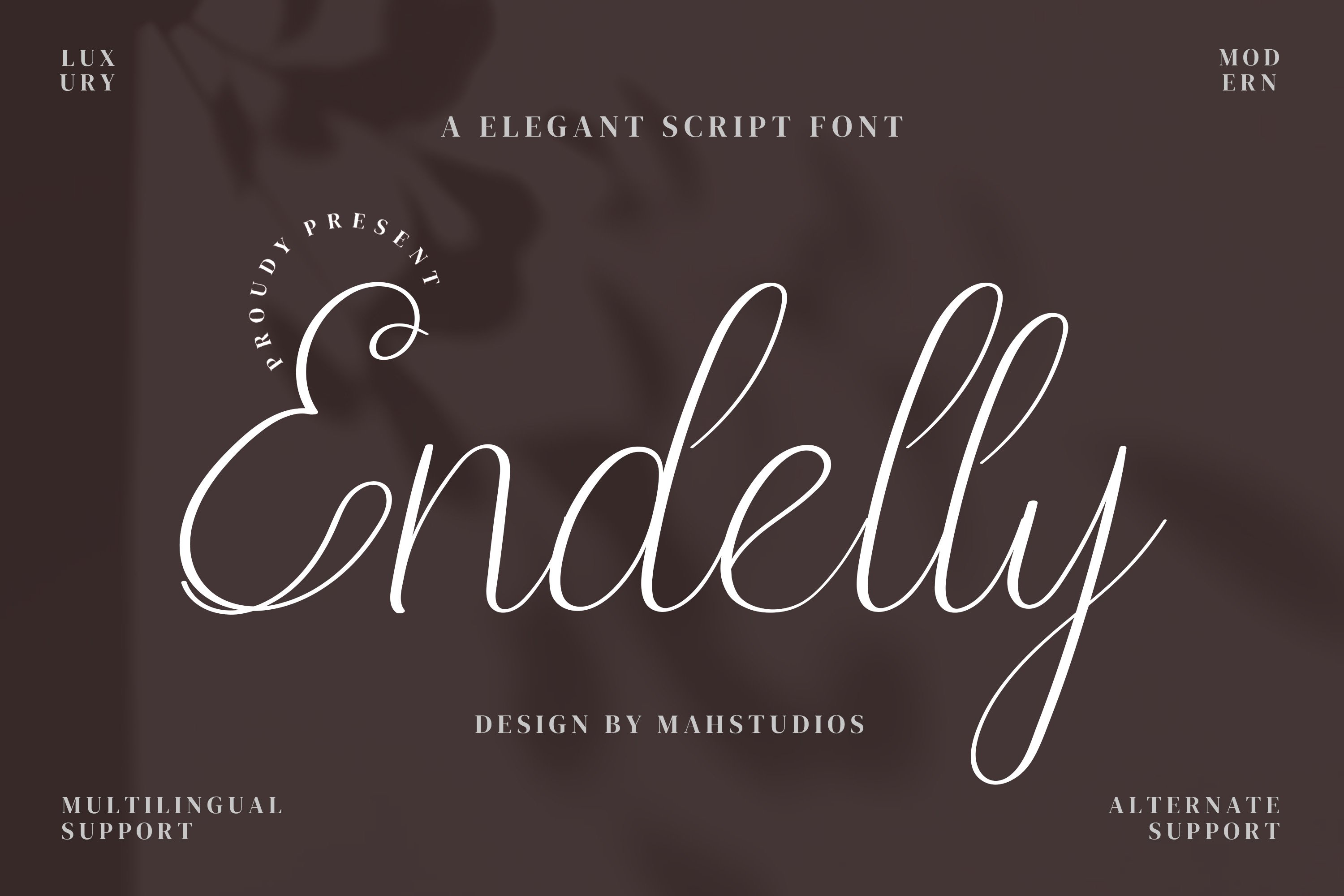 Endelly Script Fontscover image.