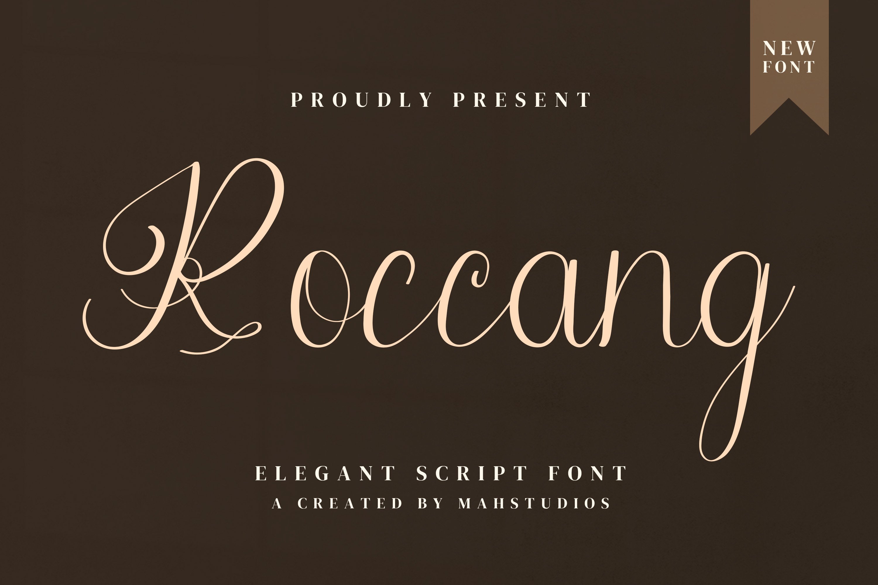 Roccang Script Fontscover image.