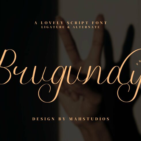 Brugundy Script Fontscover image.