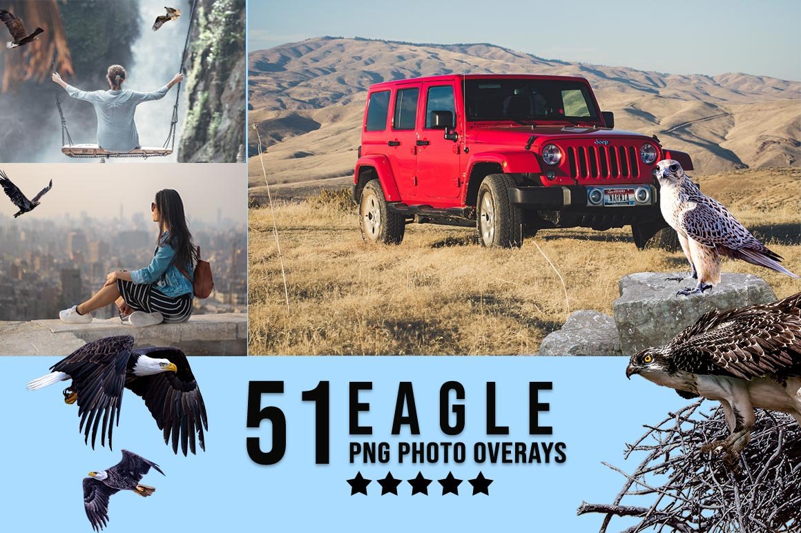 51 Eagle Photo Overlay PNGcover image.