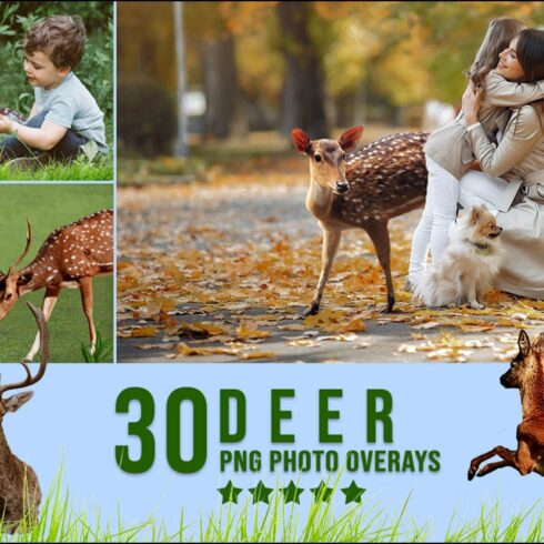 30 Deer Photoshop Overlayscover image.