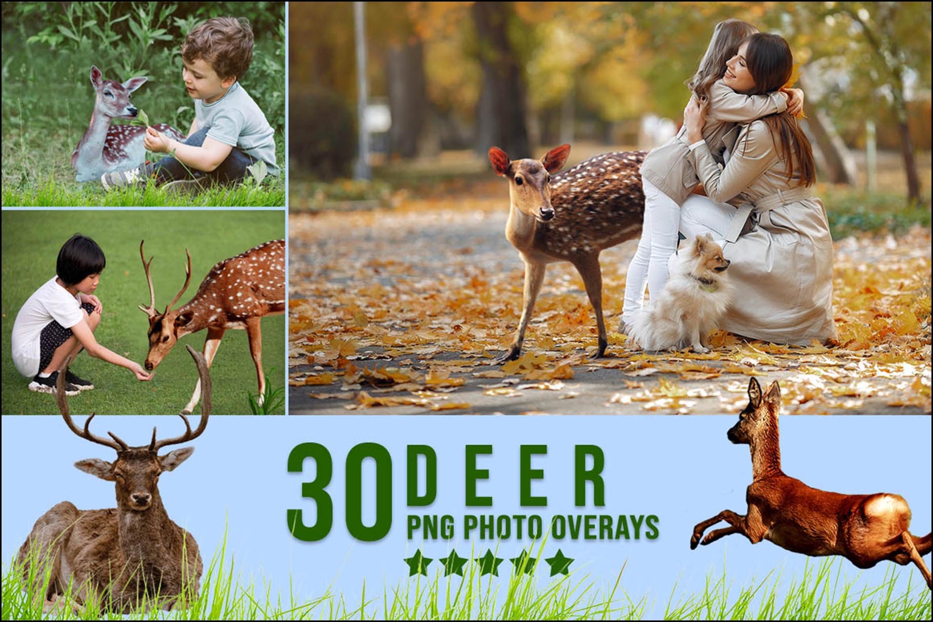 30 Deer Photoshop Overlayscover image.