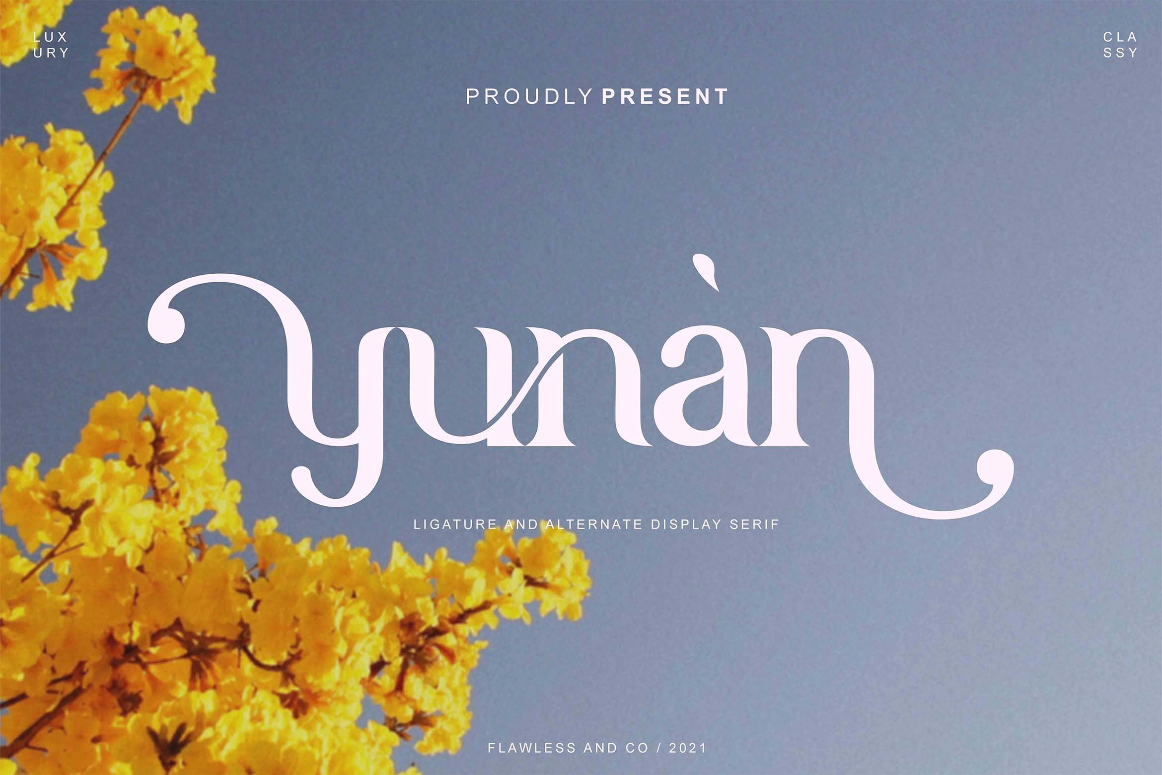 Yunan - Modern and Classy Font preview image.