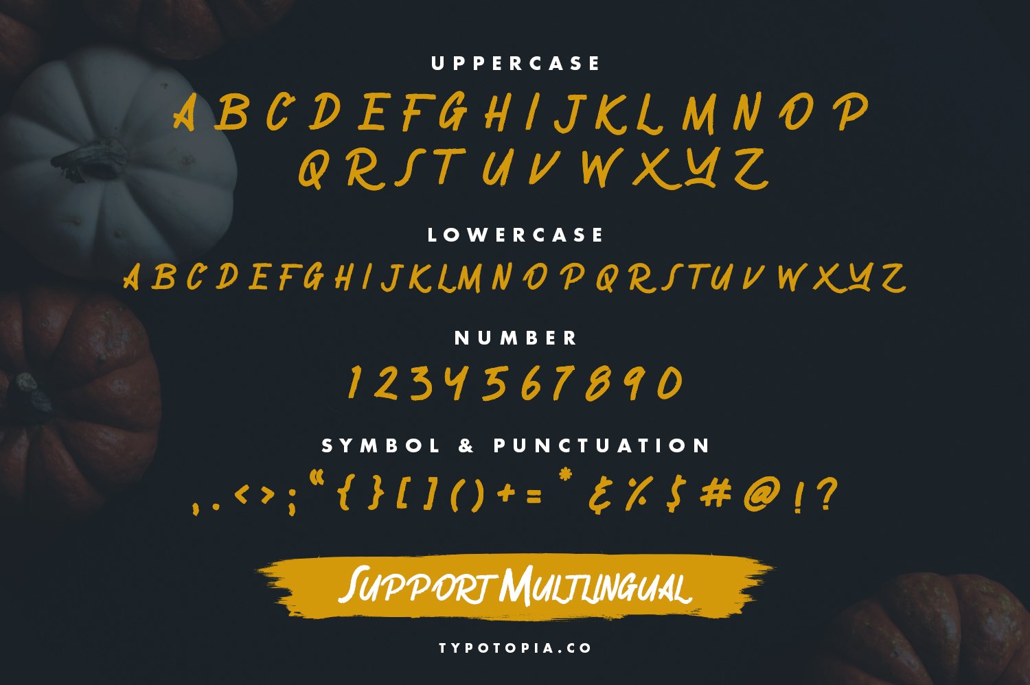 Gronzy - Brush Font preview image.