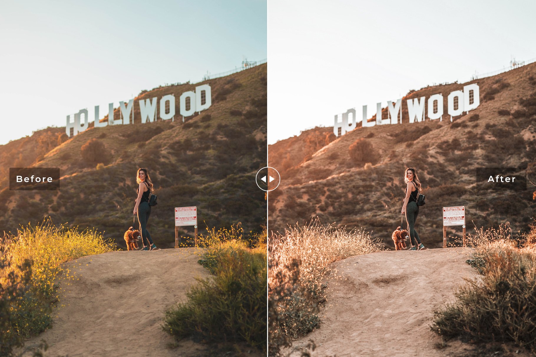Los Angeles Lightroom Presets Packpreview image.