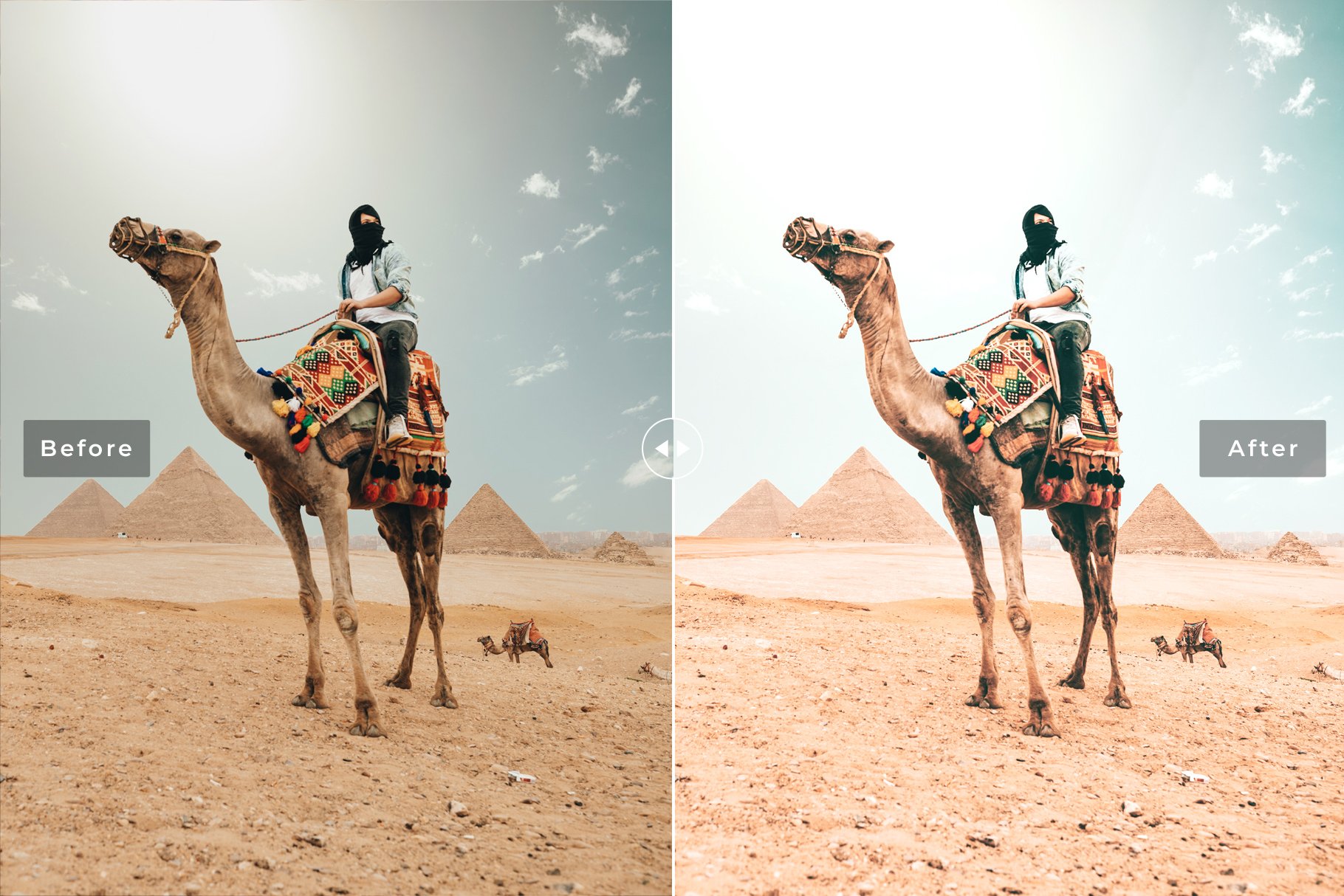 Camel Pro Lightroom Presetspreview image.