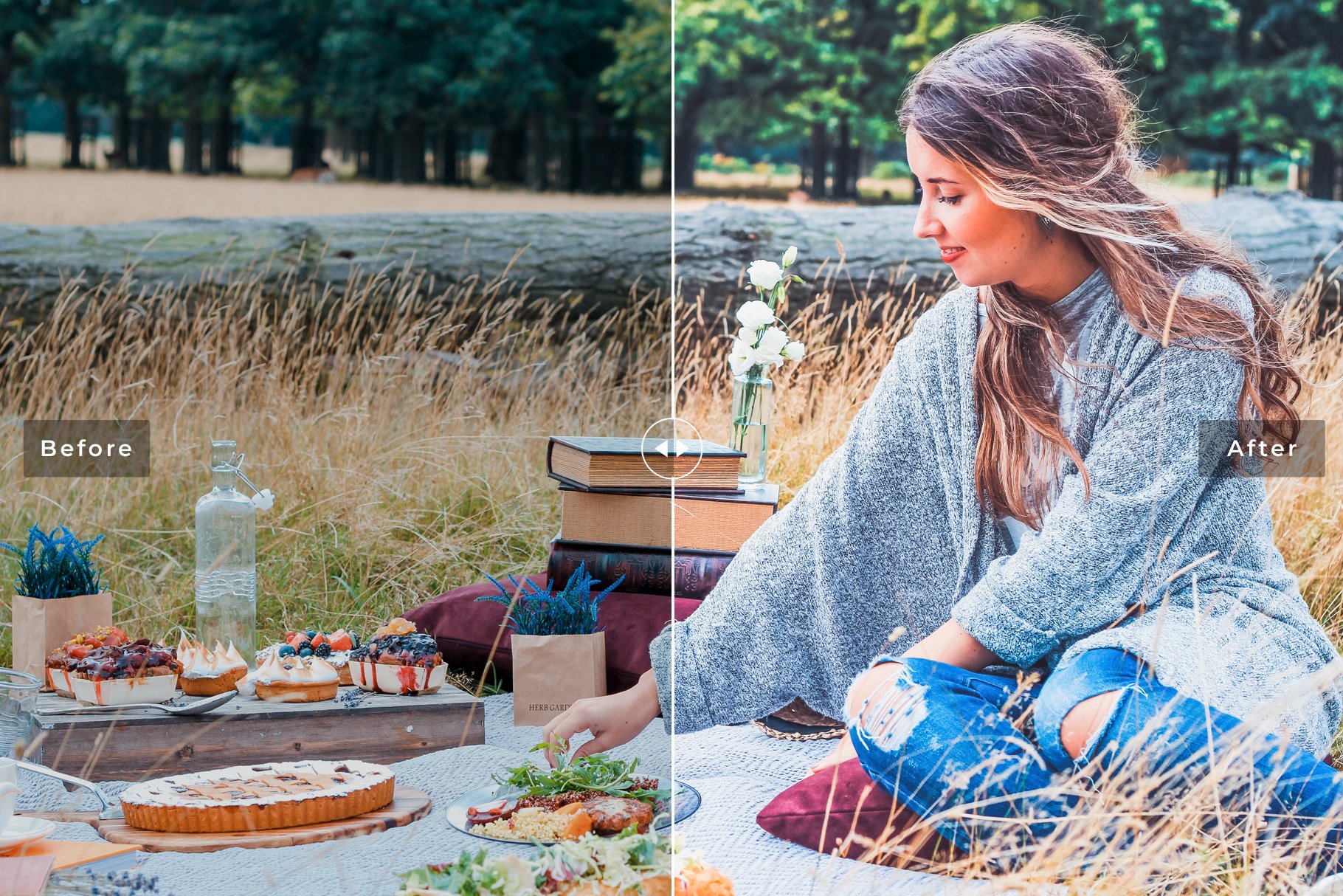 Picnic Pro Lightroom Presets Packpreview image.