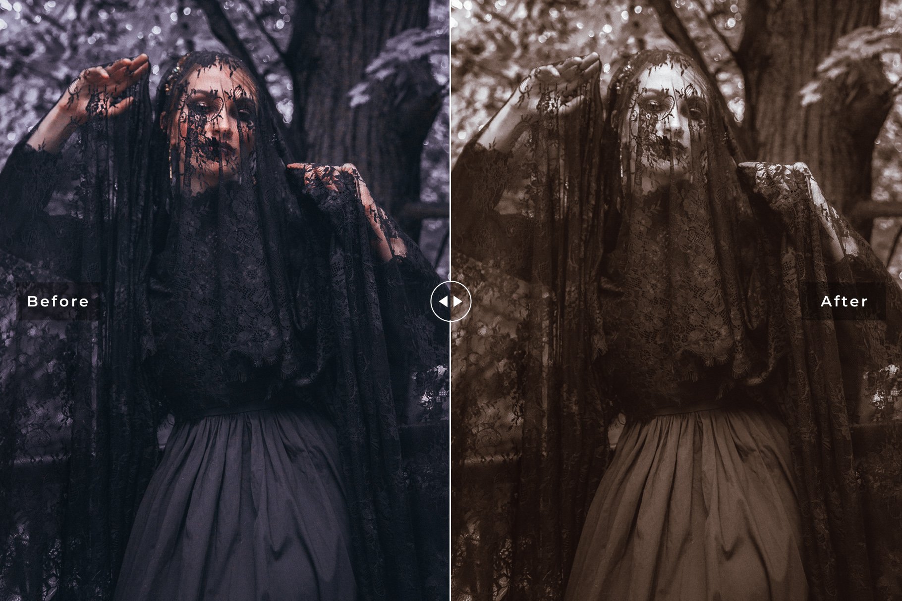 Halloween 2019 Lightroom Presetspreview image.