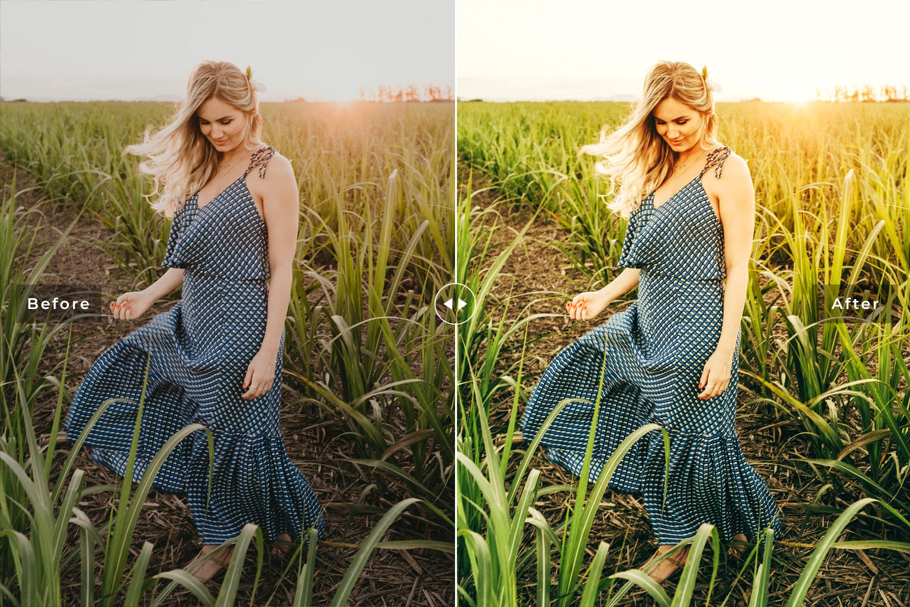 Field Pro Lightroom Presetspreview image.