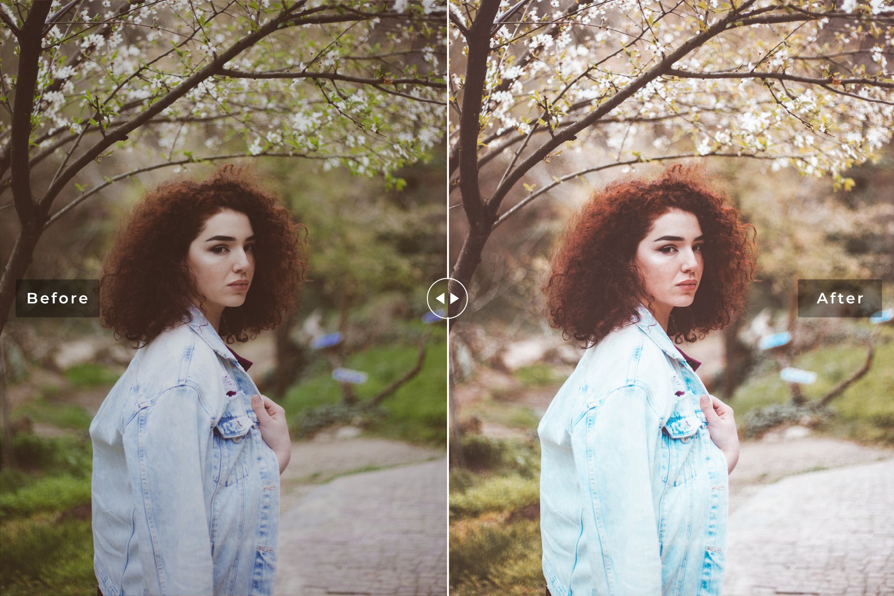 Classic Pro Lightroom Presetspreview image.