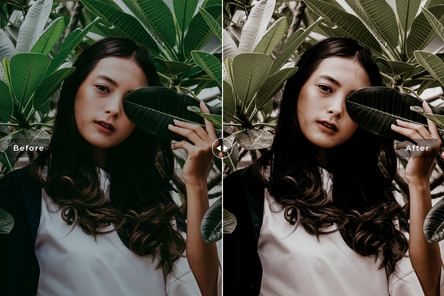 Cassia Vera Lightroom Presets Packpreview image.