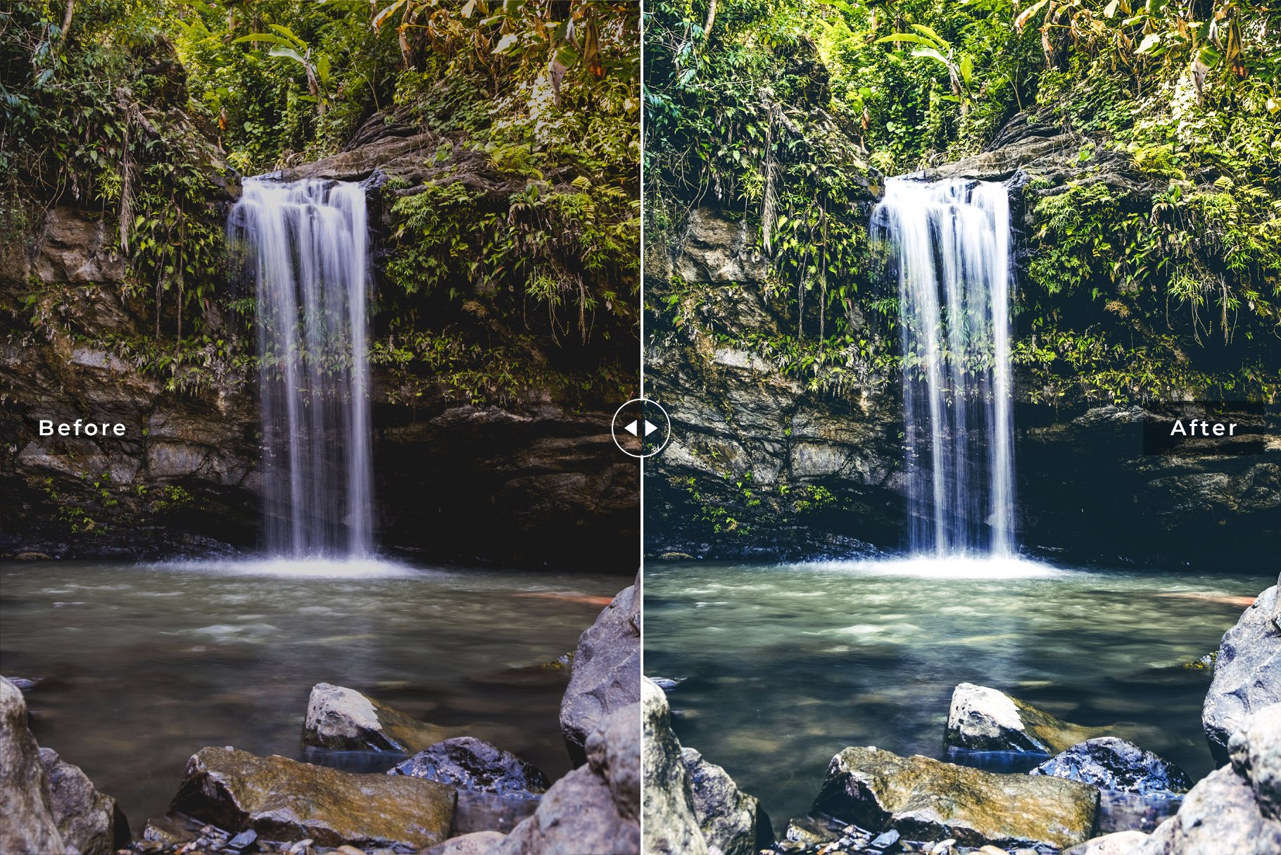 El Yunque Forest Lightroom Presetspreview image.